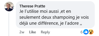Commentaire client 2